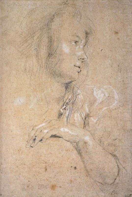 Study of Head, Peter Paul Rubens